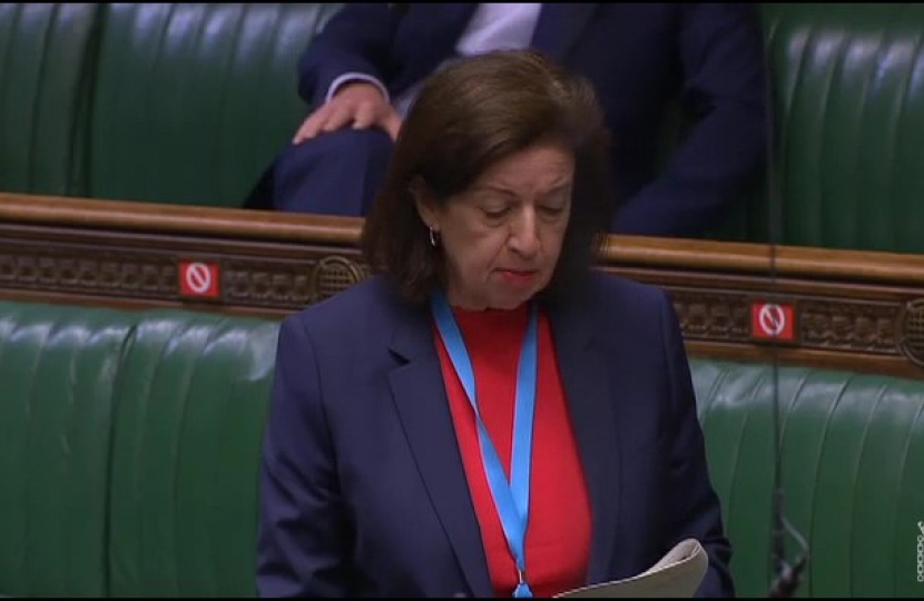 Jo raises the issue of capacity during Urgent Questions to the Home Secretary