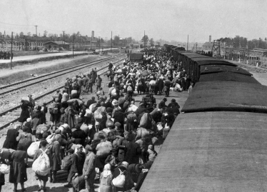 Auschwitz Train