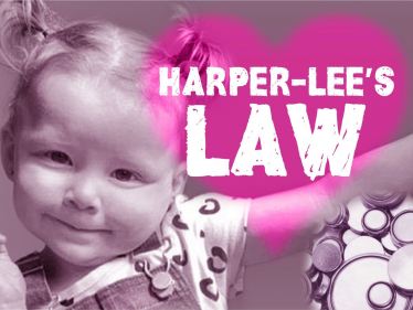 The Harper-Lee Campaign